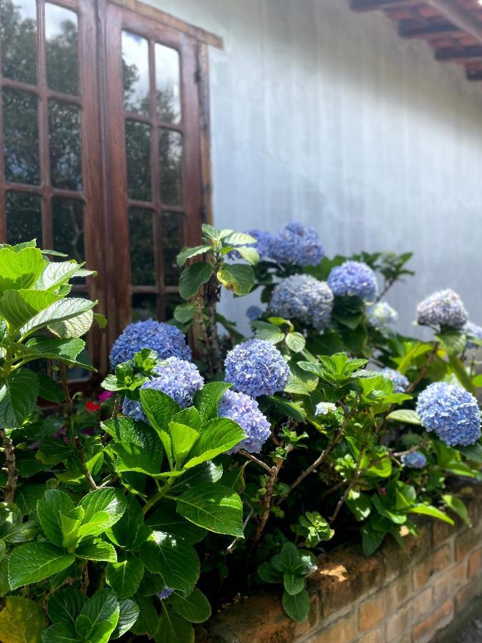 帕尔梅拉斯Casa Mirante Do Capao别墅 外观 照片